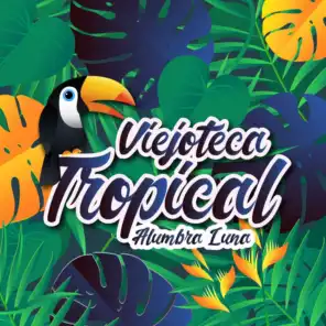 Viejoteca Tropical / Alumbra Luna