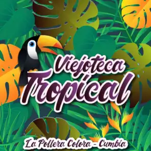 Viejoteca Tropical / La Pollera Colora - Cumbia