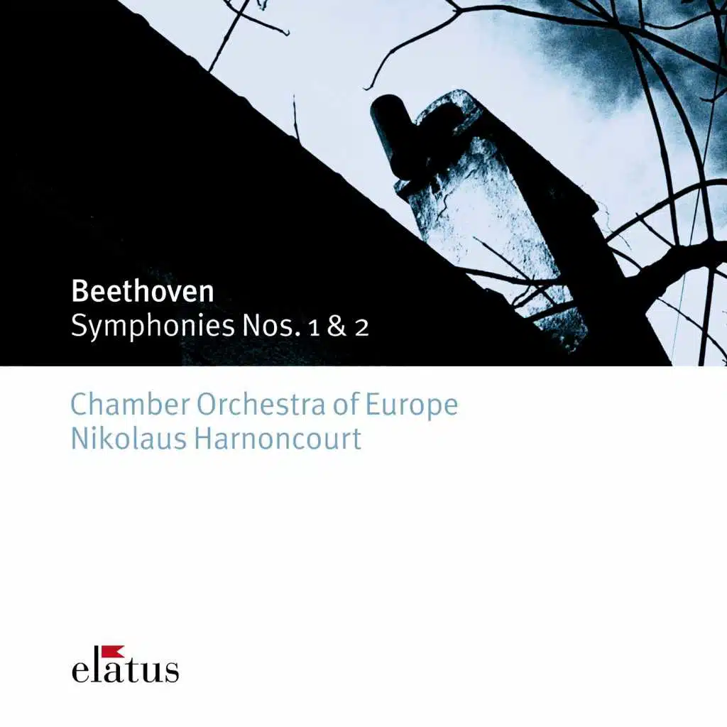 Symphony No. 1 in C Major, Op. 21: I. Adagio molto - Allegro con brio