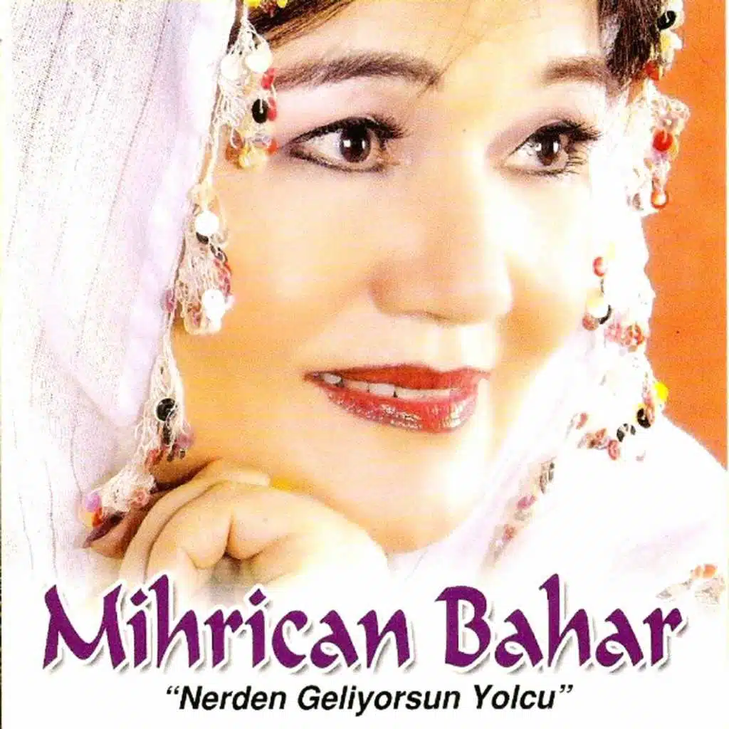 Nerden Geliyorsun Yolcu