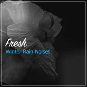 #20 Fresh Winter Rain Noises
