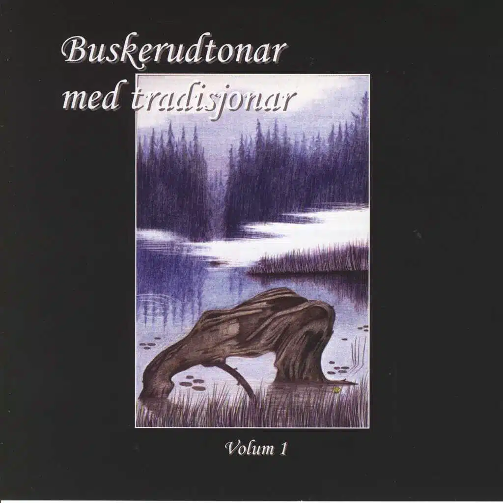 Buskerudtonar Med Tradisjonar, Vol, 1