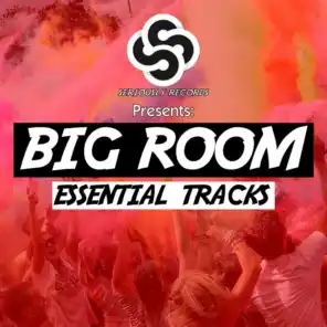 Seriously Records Presents: Big Room (Essential Tracks)