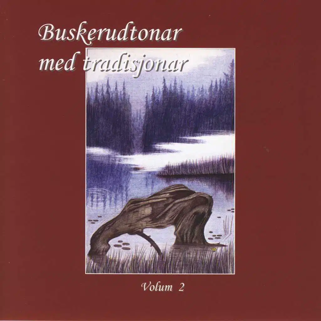 Buskerudtonar Med Tradisjonar, Vol. 2