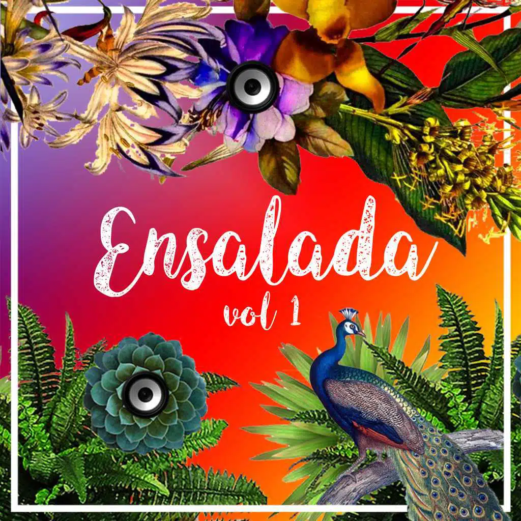 Ensalada, Vol. 1