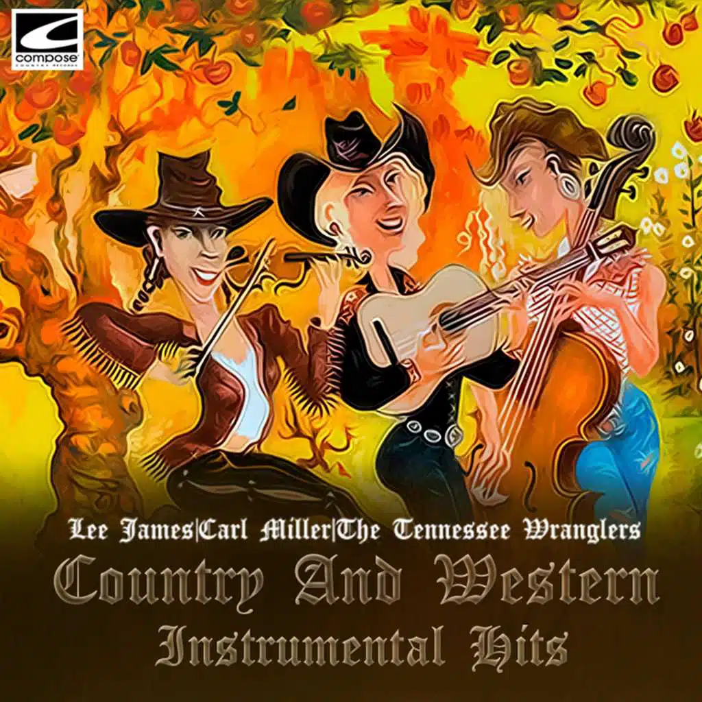 Country And Western Instrumental Hits