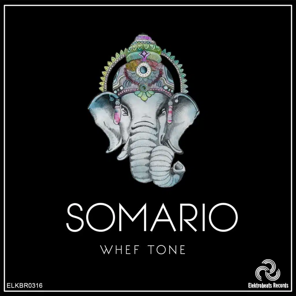 Somario
