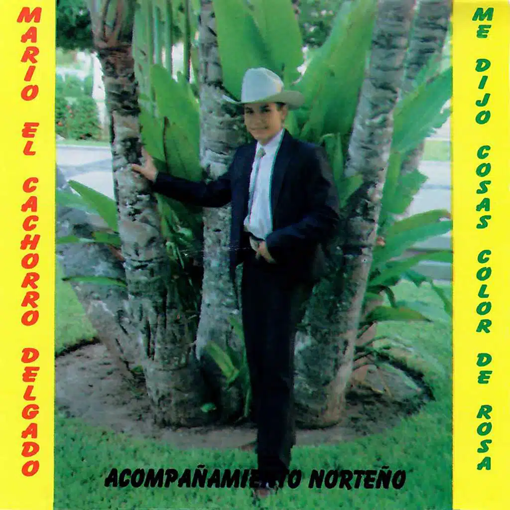 Me Dijo Cosas Color de Rosa