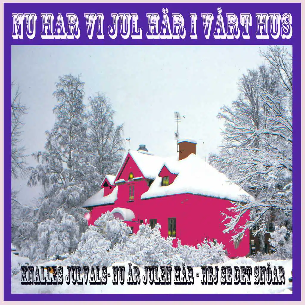 Nu har vi jul här i vårt hus