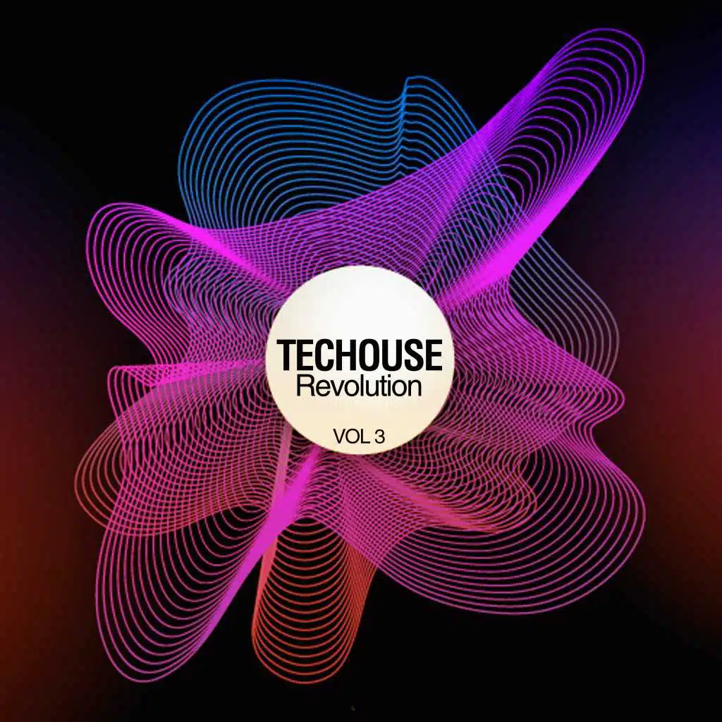 Techouse Revolution, Vol. 3