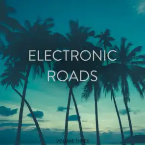 Electronic Roads, Vol. 3