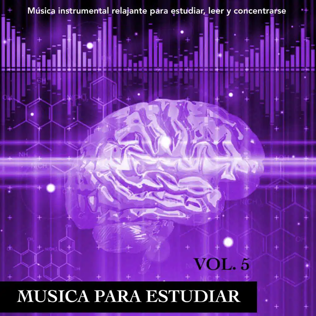 Estudiar musica - Piano para estudiar