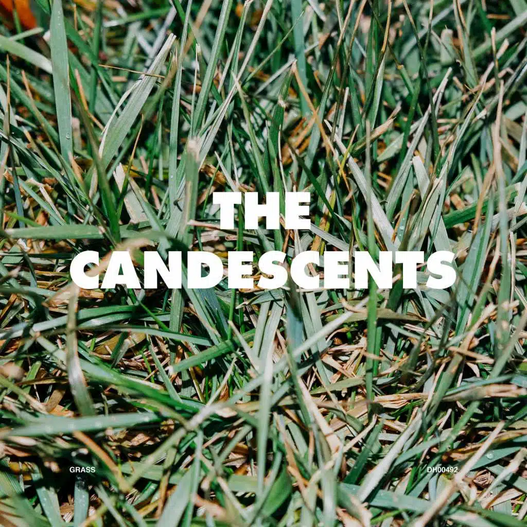Grass
