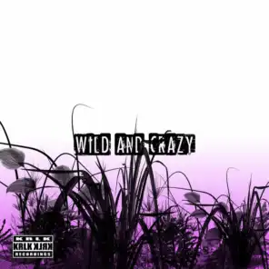 Wild and Crazy (feat. Capso)