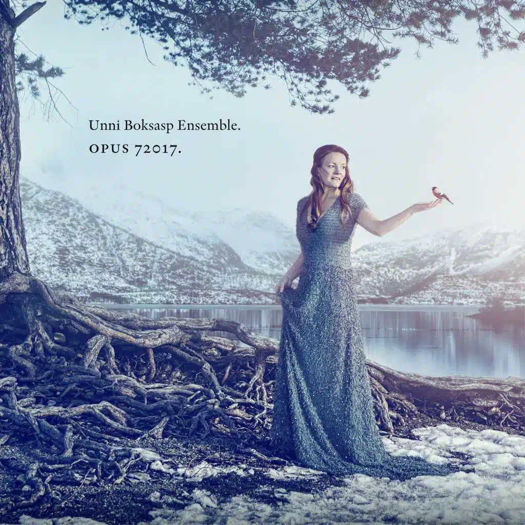 Unni Boksasp Ensemble