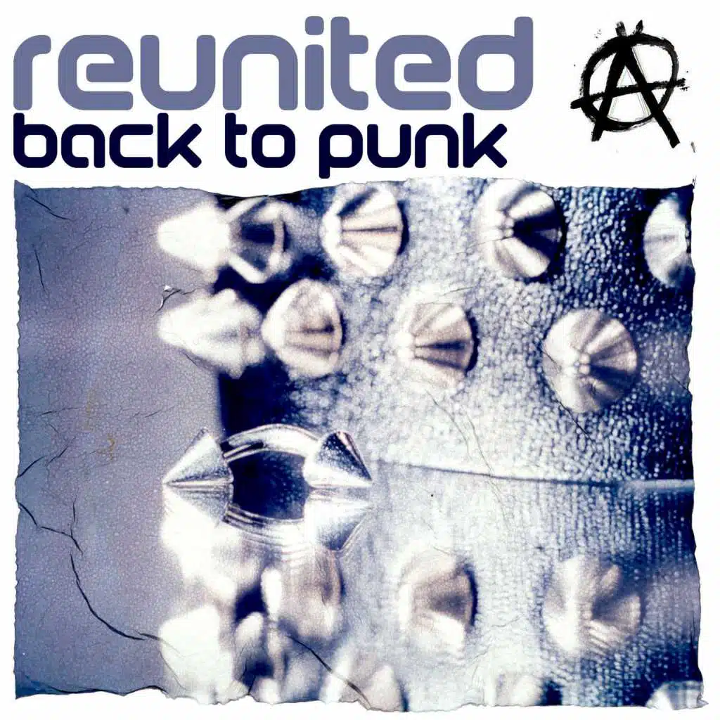 Back To Punk (BrianBerg Mix)