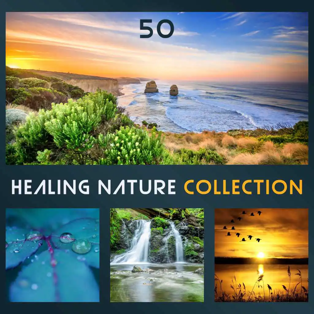 Healing & Relaxing Meditation (Singing Bowls & Harp)