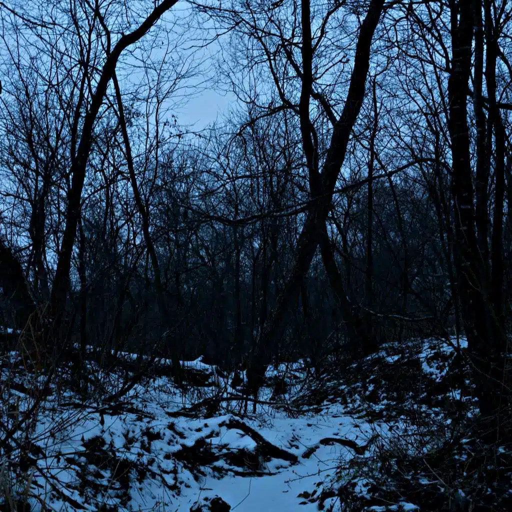 I Can Show You Better Than I Can Tell You