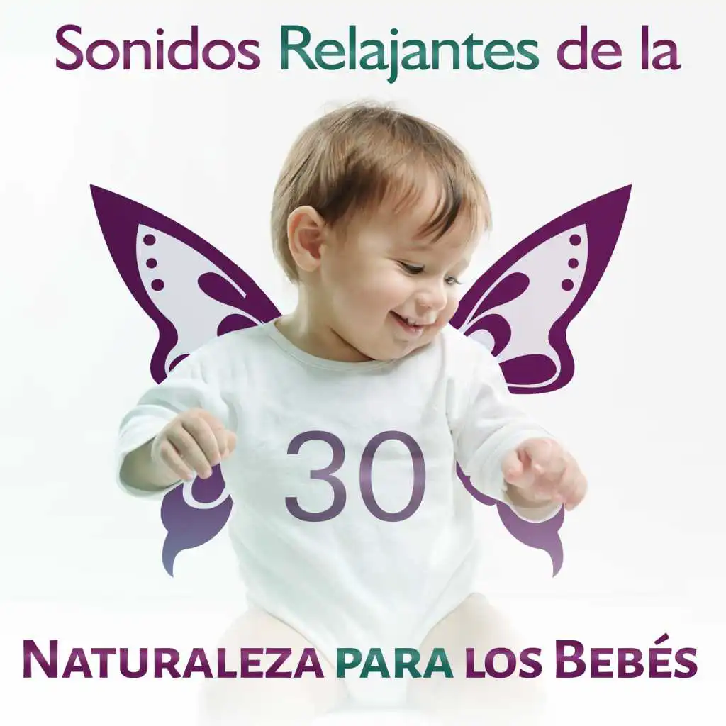 Sonidos Relajantes de la Naturaleza para los Bebés