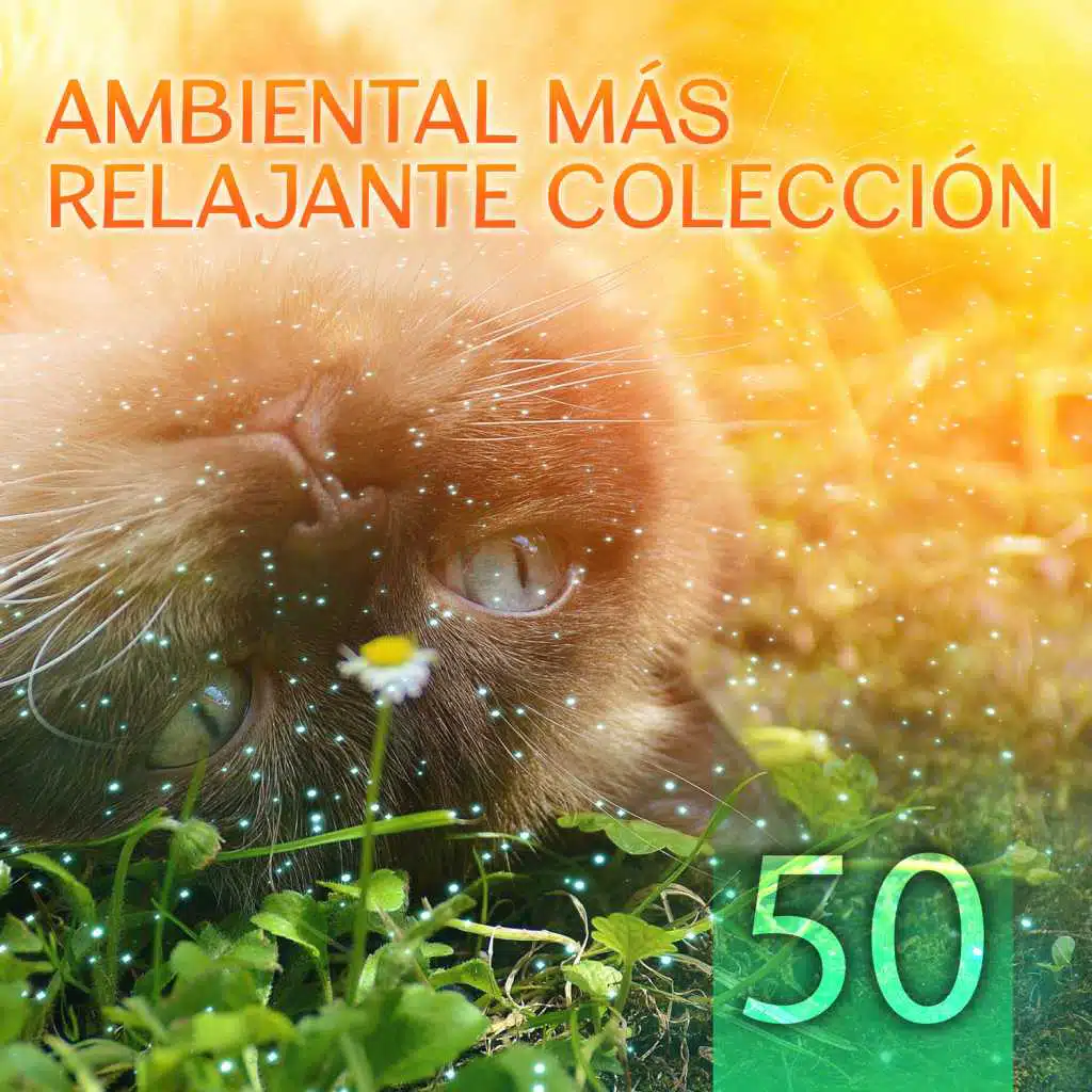 Música Relajante (Musica Japonesa Zen)