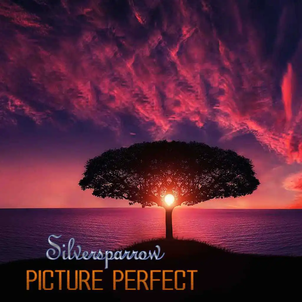 Picture Perfect (Ibiza Sunrise Instrumental)