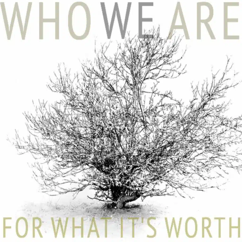 For What It's Worth