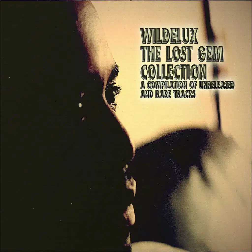 The Lost Gem Collection (A Compilation of Unreleased and Rare Tracks)