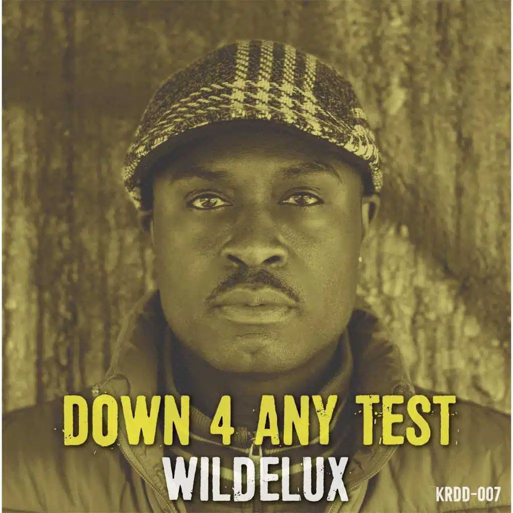 Down 4 Any Test (feat. Lafayette Ave & Adlib Swayze)