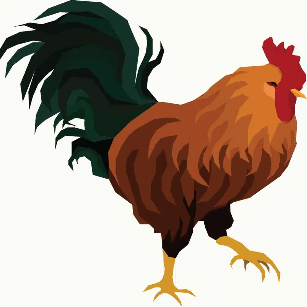 Skeptic Chickens Live Vol. 2