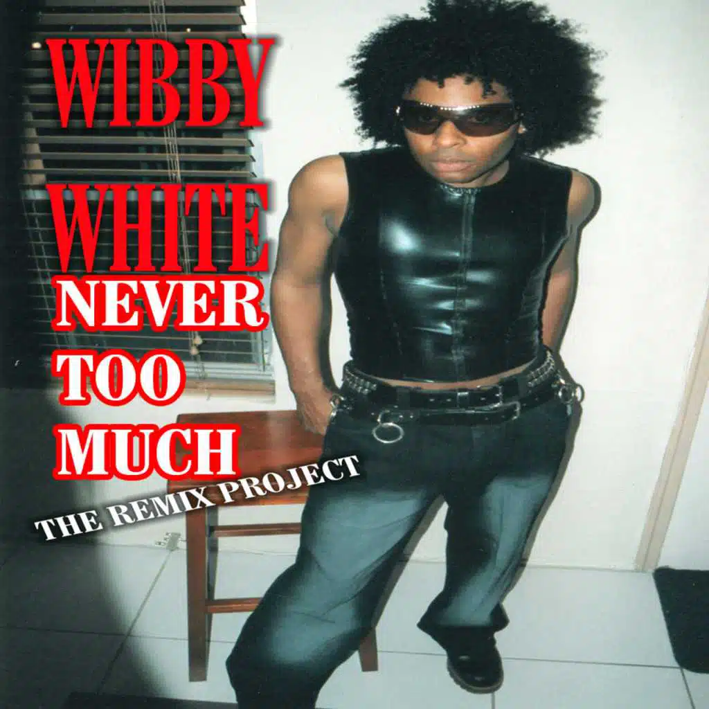 Never Too Much (The Remix Project)