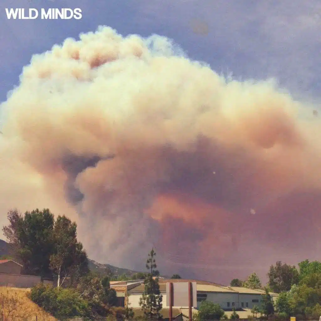 Wild Minds