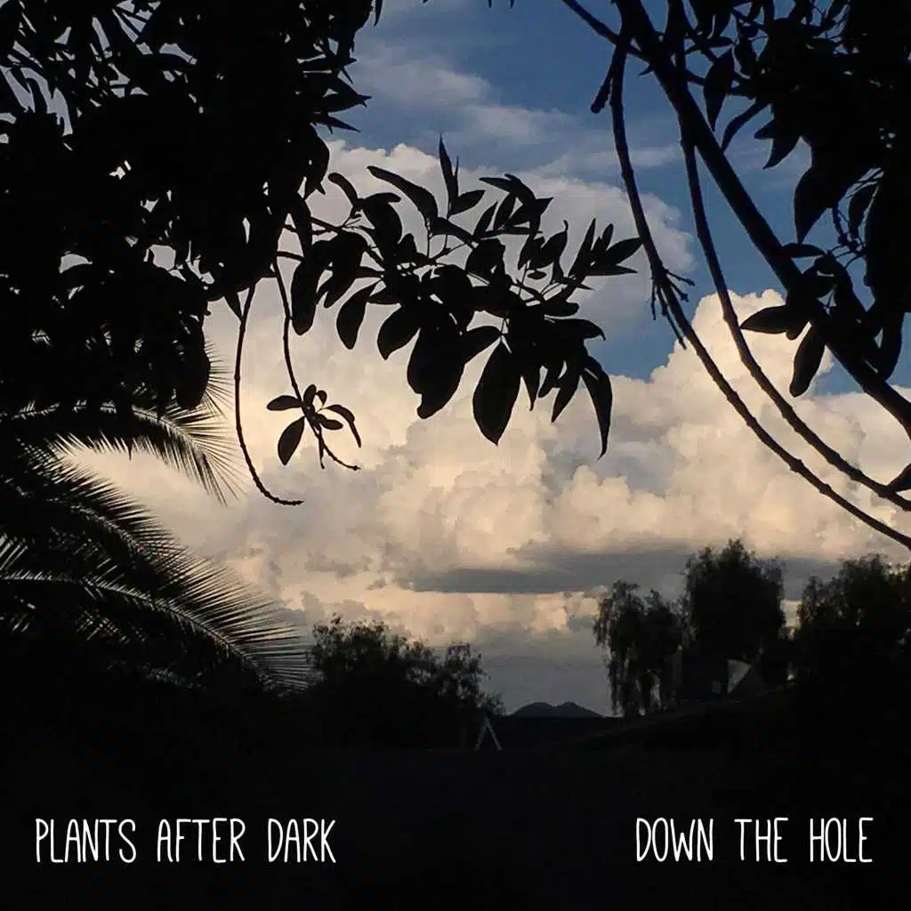 Down the Hole