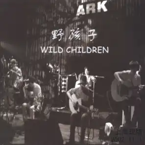 Shanghai ARK Live (上海ARK现场)