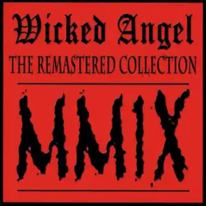 The Remastered Collection 2009