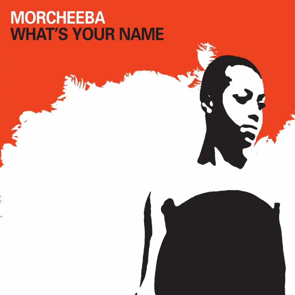 What's Your Name (feat. Big Daddy Kane) [Radio Edit]