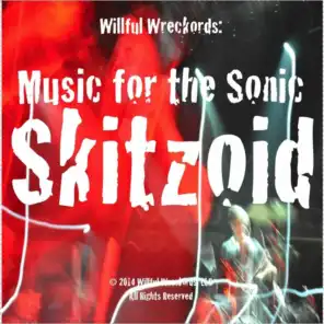 Music for the Sonic Skitzoid (Willful Wreckords Presents)