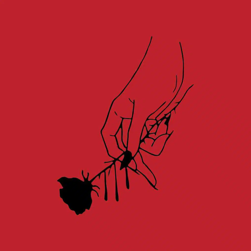 French Collections 3