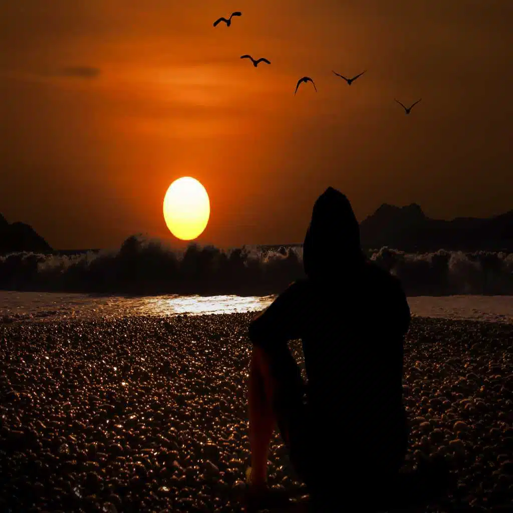 Sounds of Spring Collection - 25 Beautiful Chillout/Lounge Tunes for Absolute Relaxation and to Welcome in the Spring