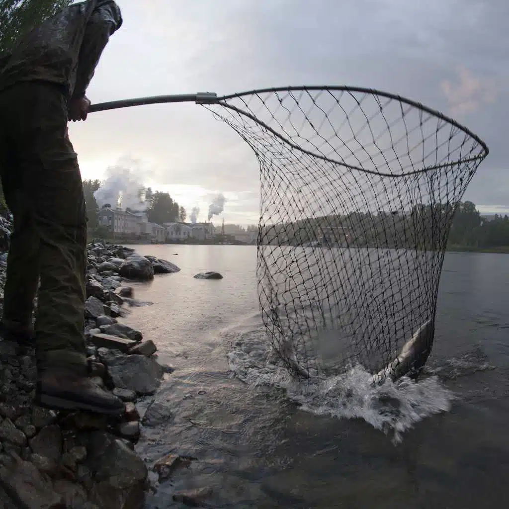 Hellefosskongen (feat. Ulabrand)