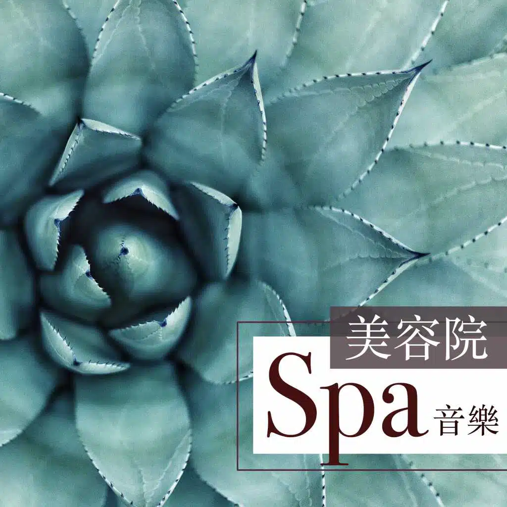 美容院Spa音樂 -  鋼琴曲和大自然聲音為了休息和安靜下來