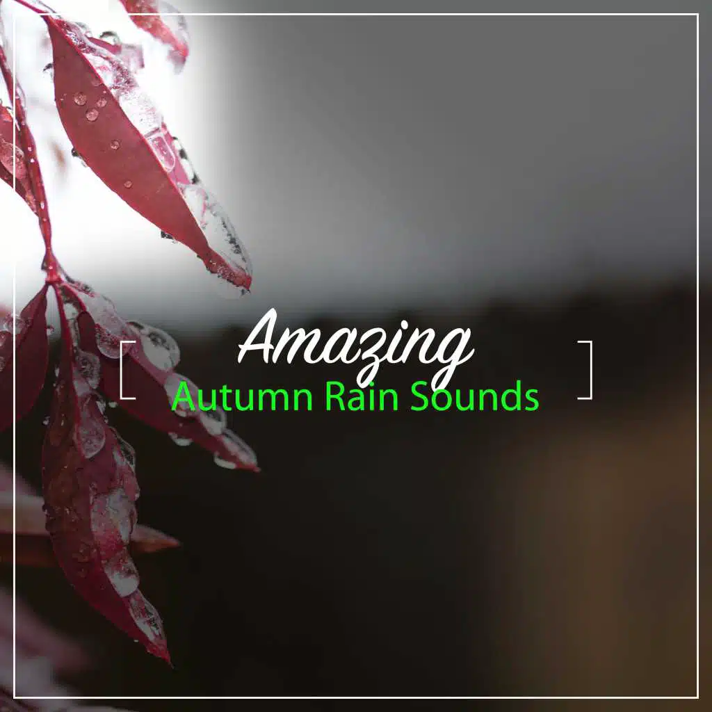 #18 Amazing Autumn Rain Sounds