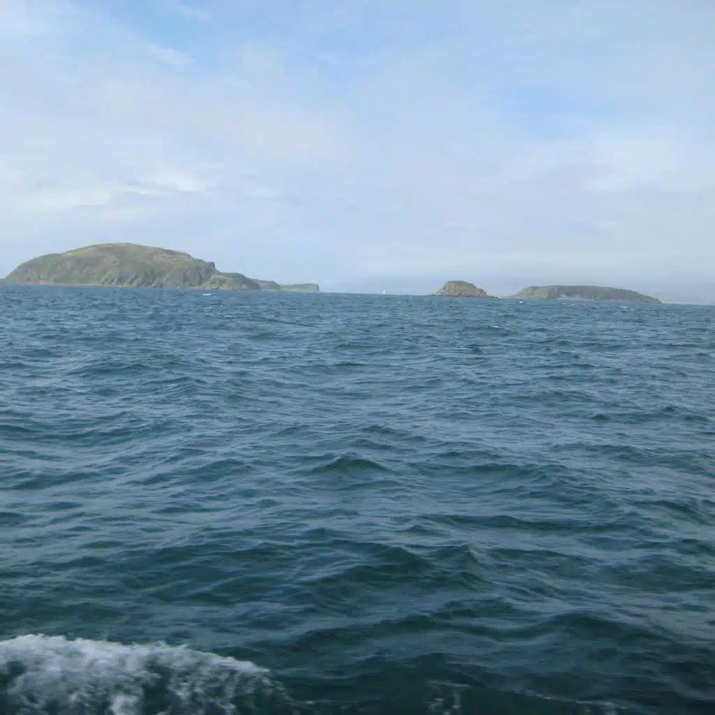 Aftermath (the Variations)