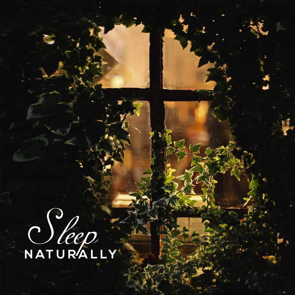 Sleep Naturally – 15 Sleepy Melodies to Bed for Deep and Healthy Sleep, Delicate and Subtle Music for Insomnia and Problems Falling Asleep, Light Rain on a Tin Roof, Calm Flute Sounds, Sea Waves
