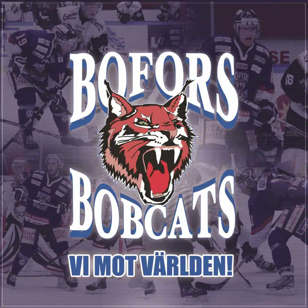 Vi Mot Världen