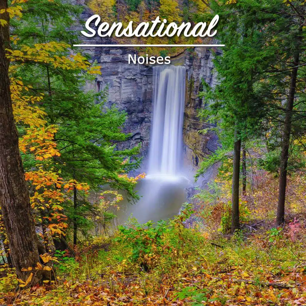 #14 Sensational Noises for a Great Nights Sleep