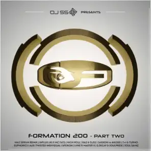 DJ SS Presents: Formation 200, Pt. 2
