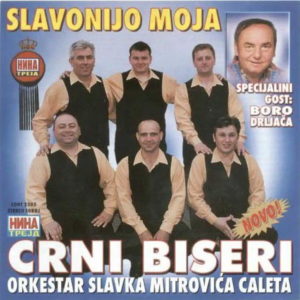 Leti, leti moj sokole
