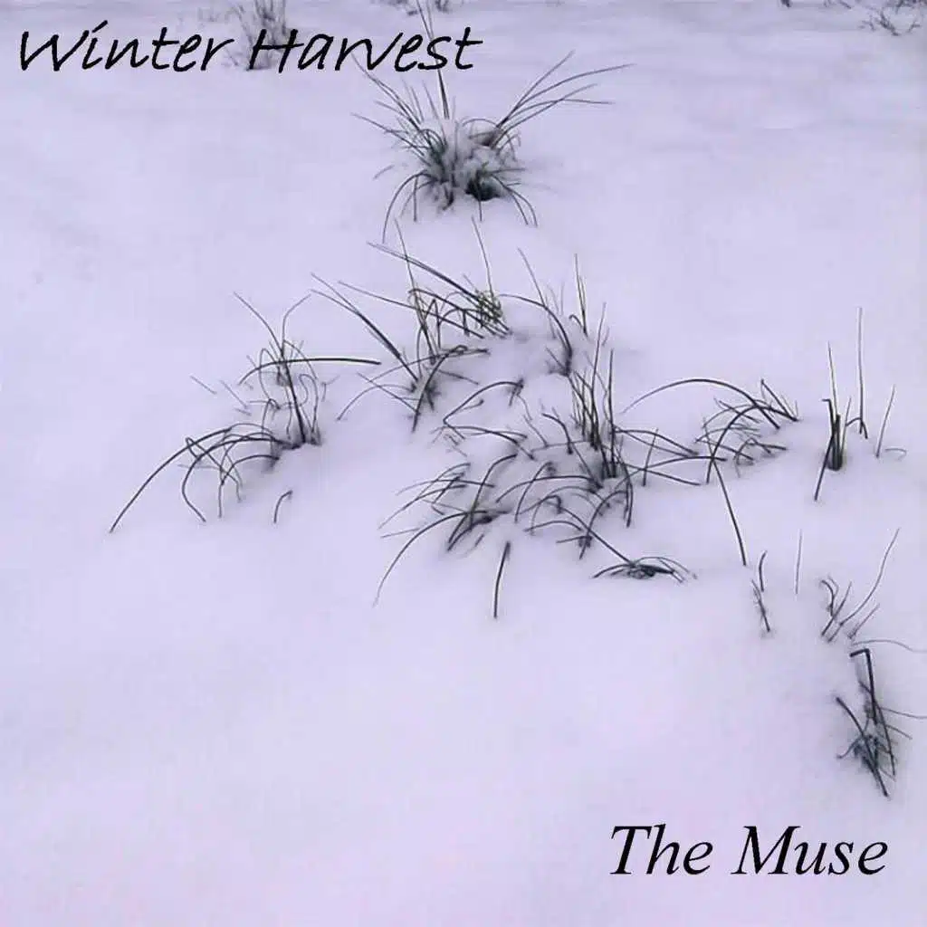 The Muse