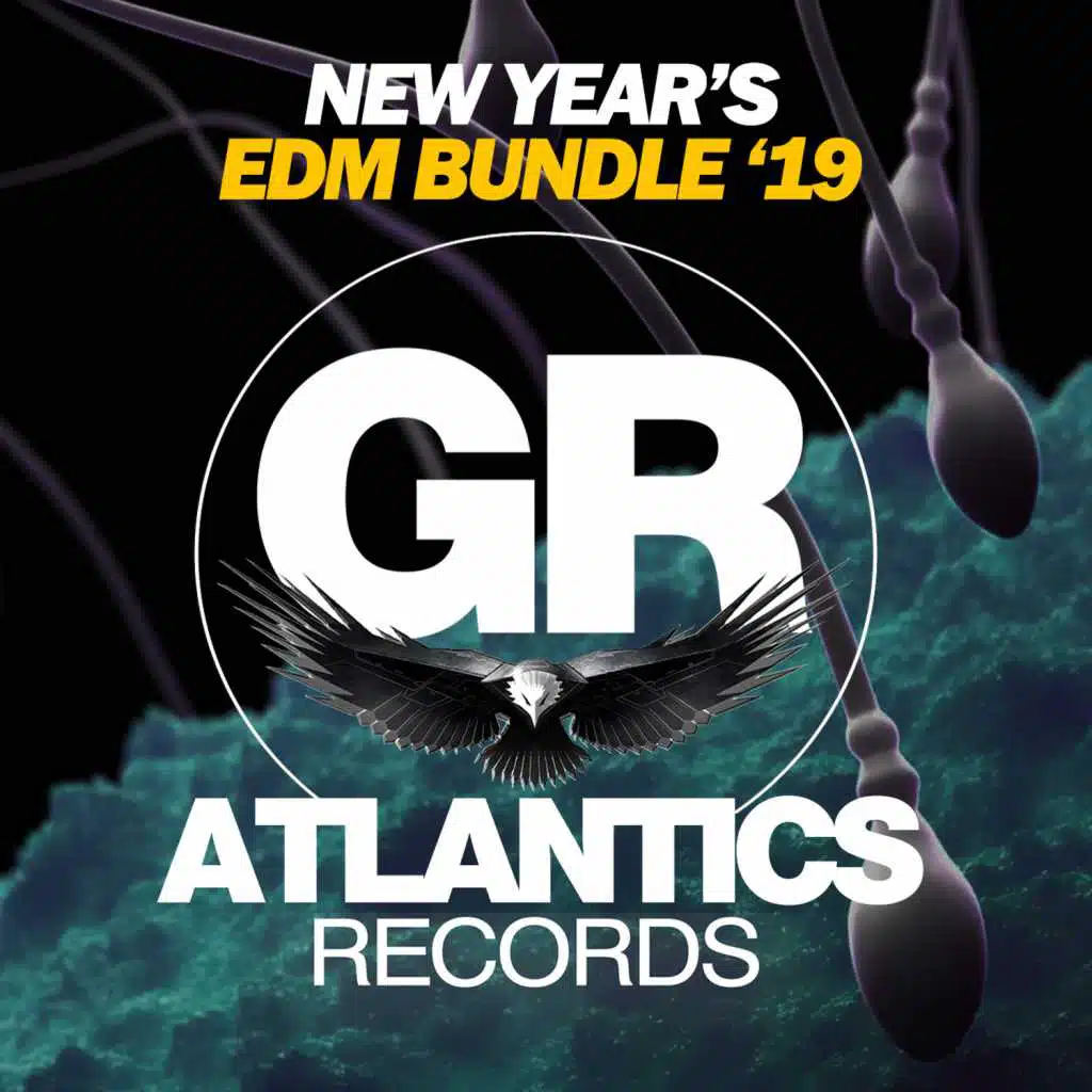 New Year's EDM Bundle '19