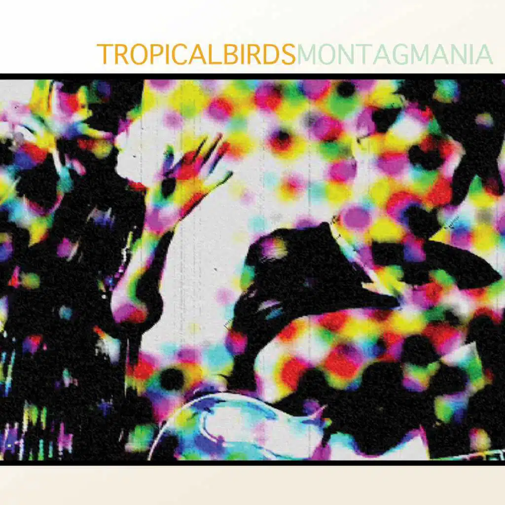 Tropical Birds